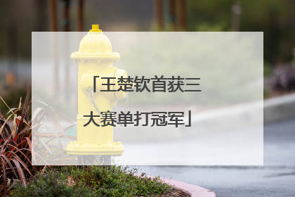 王楚钦首获三大赛单打冠军