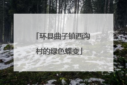 环县曲子镇西沟村的绿色蝶变