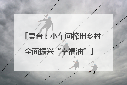 灵台：小车间榨出乡村全面振兴“幸福油”