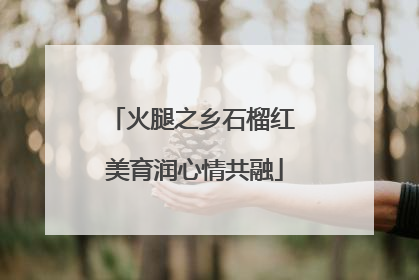 火腿之乡石榴红 美育润心情共融