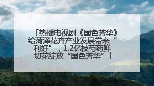 热播电视剧《国色芳华》给菏泽花卉产业发展带来“利好”，1.2亿枝芍药鲜切花绽放“国色芳华”