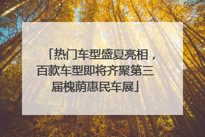 热门车型盛夏亮相，百款车型即将齐聚第三届槐荫惠民车展