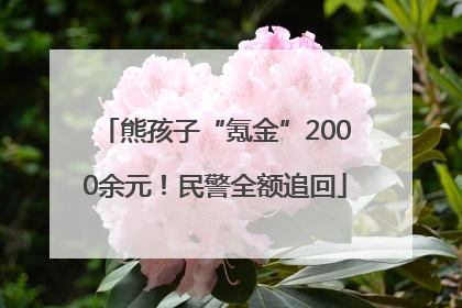 熊孩子“氪金”2000余元！民警全额追回