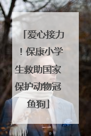 爱心接力！保康小学生救助国家保护动物冠鱼狗