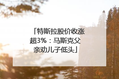 特斯拉股价收涨超3%：马斯克父亲劝儿子低头