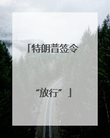 特朗普签令“放行”