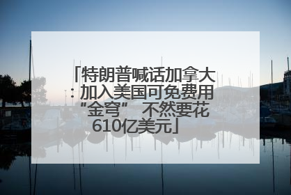 特朗普喊话加拿大：加入美国可免费用“金穹” 不然要花610亿美元