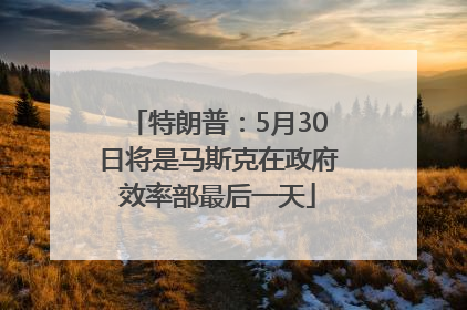 特朗普：5月30日将是马斯克在政府效率部最后一天