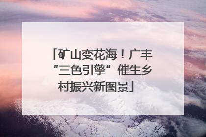 矿山变花海！广丰“三色引擎”催生乡村振兴新图景