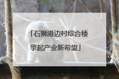 石狮港边村综合楼擎起产业新希望