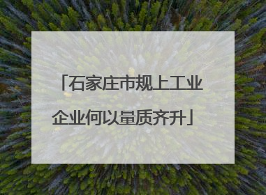 石家庄市规上工业企业何以量质齐升