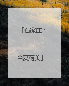 石家庄：当夏荷美
