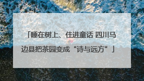 睡在树上、住进童话 四川马边县把茶园变成“诗与远方”