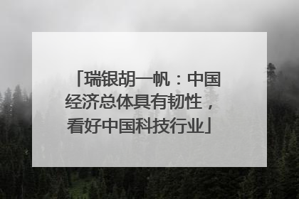 瑞银胡一帆：中国经济总体具有韧性，看好中国科技行业