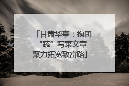 甘肃华亭：抱团“蔬”写菜文章 聚力拓宽致富路
