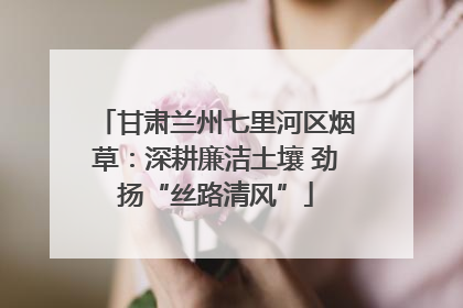 甘肃兰州七里河区烟草：深耕廉洁土壤 劲扬“丝路清风”