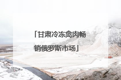 甘肃冷冻禽肉畅销俄罗斯市场