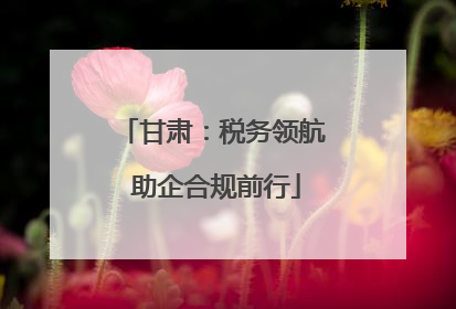 甘肃：税务领航 助企合规前行