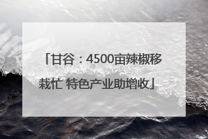 甘谷：4500亩辣椒移栽忙 特色产业助增收