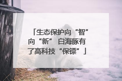 生态保护向“智”向“新” 白海豚有了高科技“保镖”