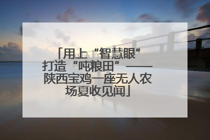 用上“智慧眼” 打造“吨粮田”——陕西宝鸡一座无人农场夏收见闻