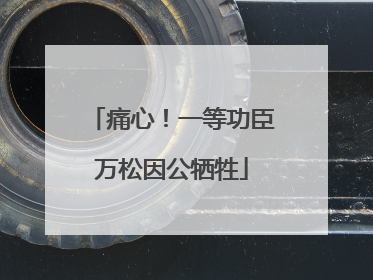 痛心！一等功臣万松因公牺牲