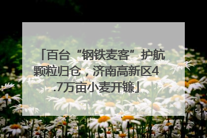 百台“钢铁麦客”护航颗粒归仓，济南高新区4.7万亩小麦开镰