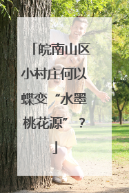 皖南山区小村庄何以蝶变“水墨桃花源”？