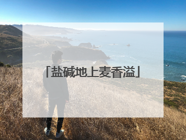 盐碱地上麦香溢