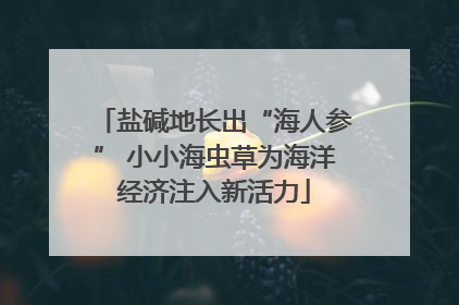 盐碱地长出“海人参” 小小海虫草为海洋经济注入新活力
