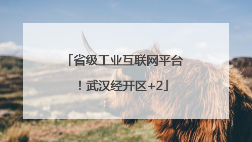 省级工业互联网平台！武汉经开区+2