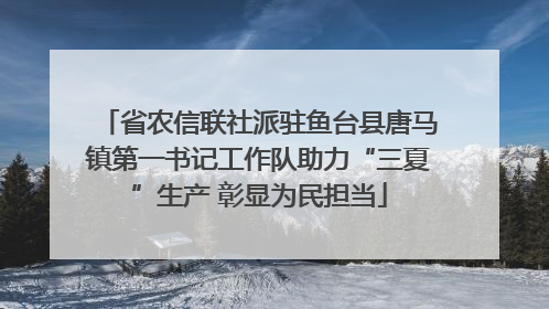 省农信联社派驻鱼台县唐马镇第一书记工作队助力“三夏”生产 彰显为民担当