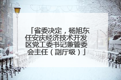 省委决定，杨旭东任安庆经济技术开发区党工委书记兼管委会主任（副厅级）