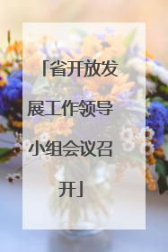 省开放发展工作领导小组会议召开