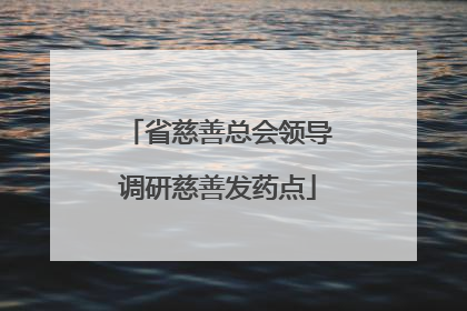 省慈善总会领导调研慈善发药点