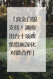 真金白银支持！湖南出台十项政策措施深化对德合作