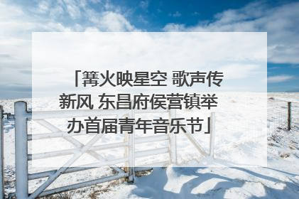 篝火映星空 歌声传新风 东昌府侯营镇举办首届青年音乐节
