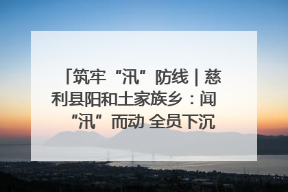 筑牢“汛”防线｜慈利县阳和土家族乡：闻“汛”而动 全员下沉筑牢防汛“安全堤”