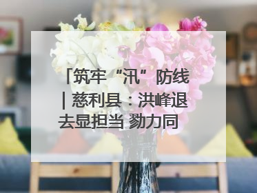 筑牢“汛”防线｜慈利县：洪峰退去显担当 勠力同心启新篇