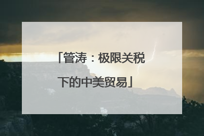 管涛：极限关税下的中美贸易