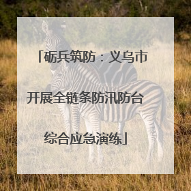 砺兵筑防：义乌市开展全链条防汛防台综合应急演练