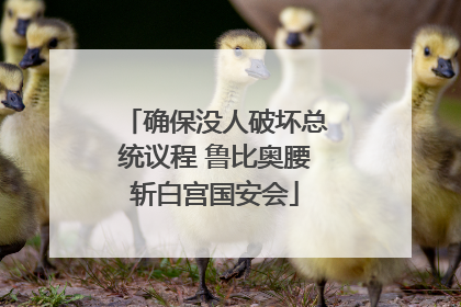 确保没人破坏总统议程 鲁比奥腰斩白宫国安会