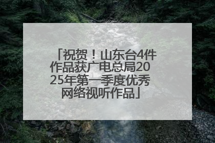 祝贺！山东台4件作品获广电总局2025年第一季度优秀网络视听作品