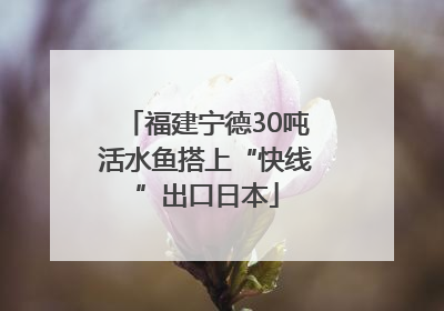 福建宁德30吨活水鱼搭上“快线”出口日本