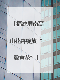 福建屏南高山花卉绽放“致富花”