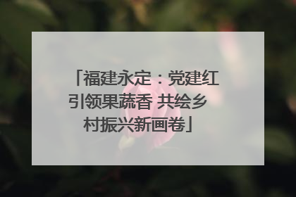 福建永定：党建红引领果蔬香 共绘乡村振兴新画卷