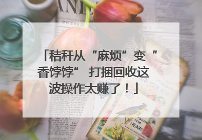 秸秆从“麻烦”变“香饽饽” 打捆回收这波操作太赚了！