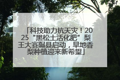 科技助力抗天灾！2025“黑松土活化肥”梨王大赛隰县启动，旱地香梨种植迎来新希望