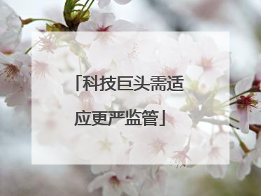 科技巨头需适应更严监管