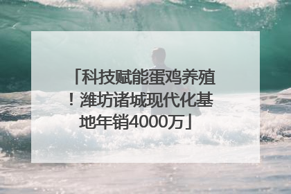 科技赋能蛋鸡养殖！潍坊诸城现代化基地年销4000万